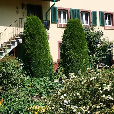 Dani'S Ferienwohnung Freiamt Kültér fotó