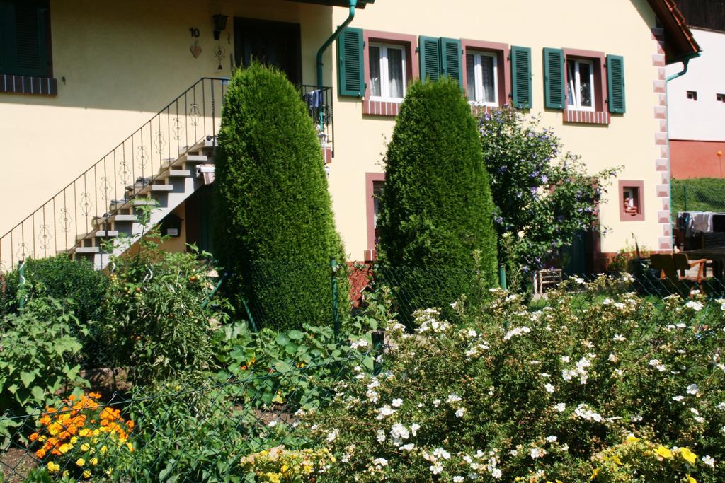 Dani'S Ferienwohnung Freiamt Kültér fotó